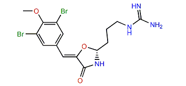 Synoxazolidinone B